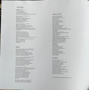 Image 4: Regina Spektor – 11:11 Vinyl LP | Relix