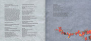 Image 4: Robert Plant – Band of Joy CD | Relix