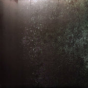 Image 4: Scott Walker – The Drift Vinyl LP | Relix