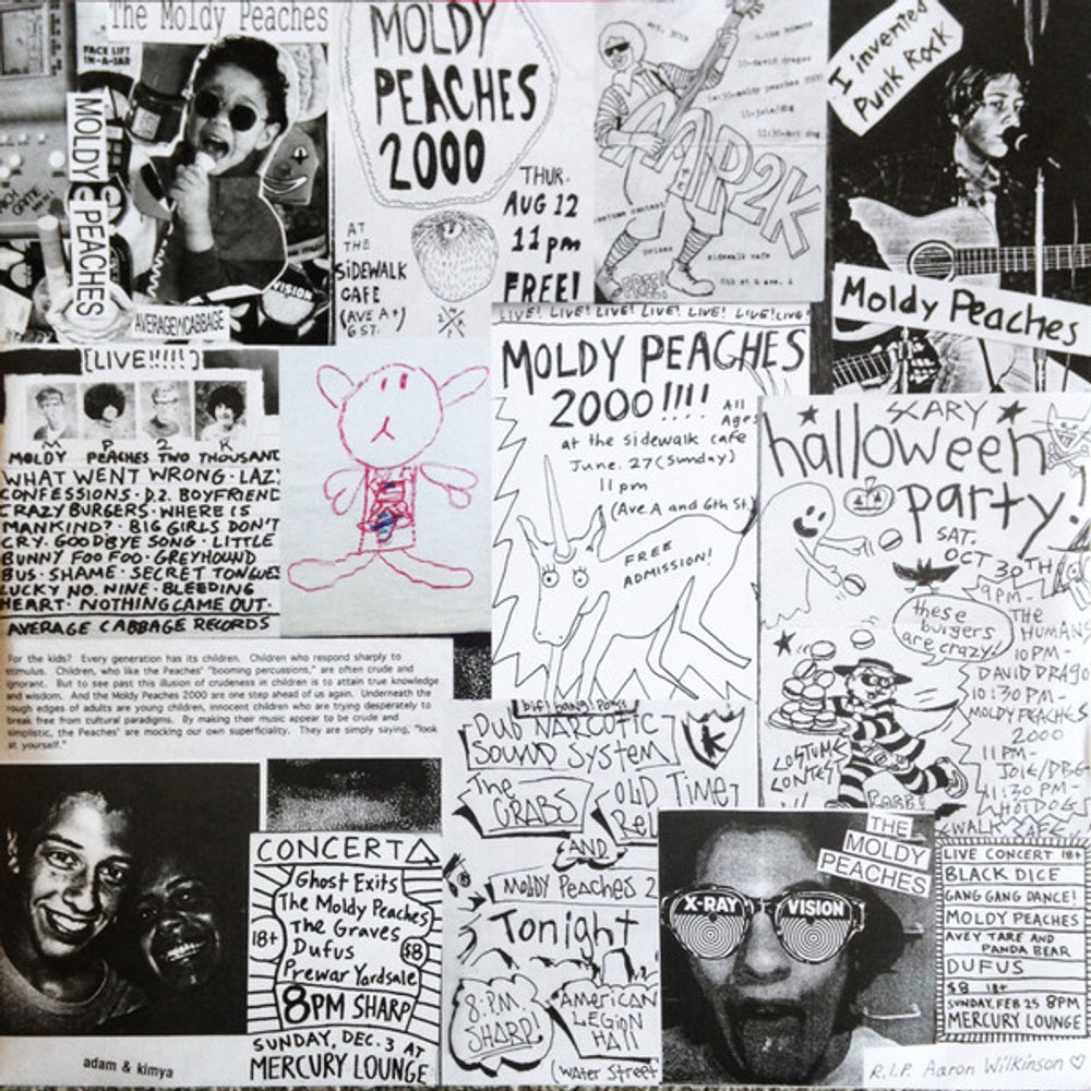 Image 4: The Moldy Peaches – The Moldy Peaches Vinyl LP | Relix