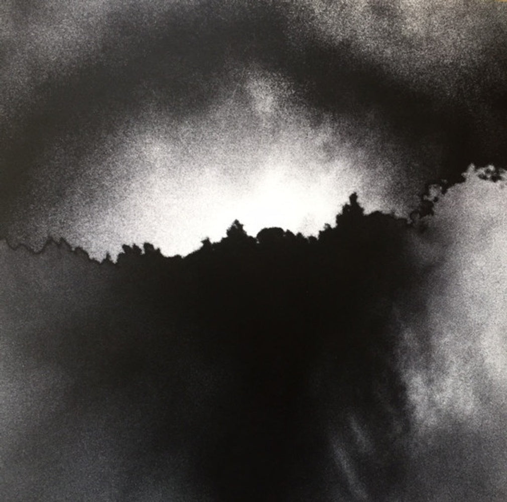 Image 4: The National – Trouble Will Find Me Vinyl LP | Relix