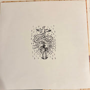 Image 4: Two Gallants – The Bloom and The Blight Vinyl LP | Relix