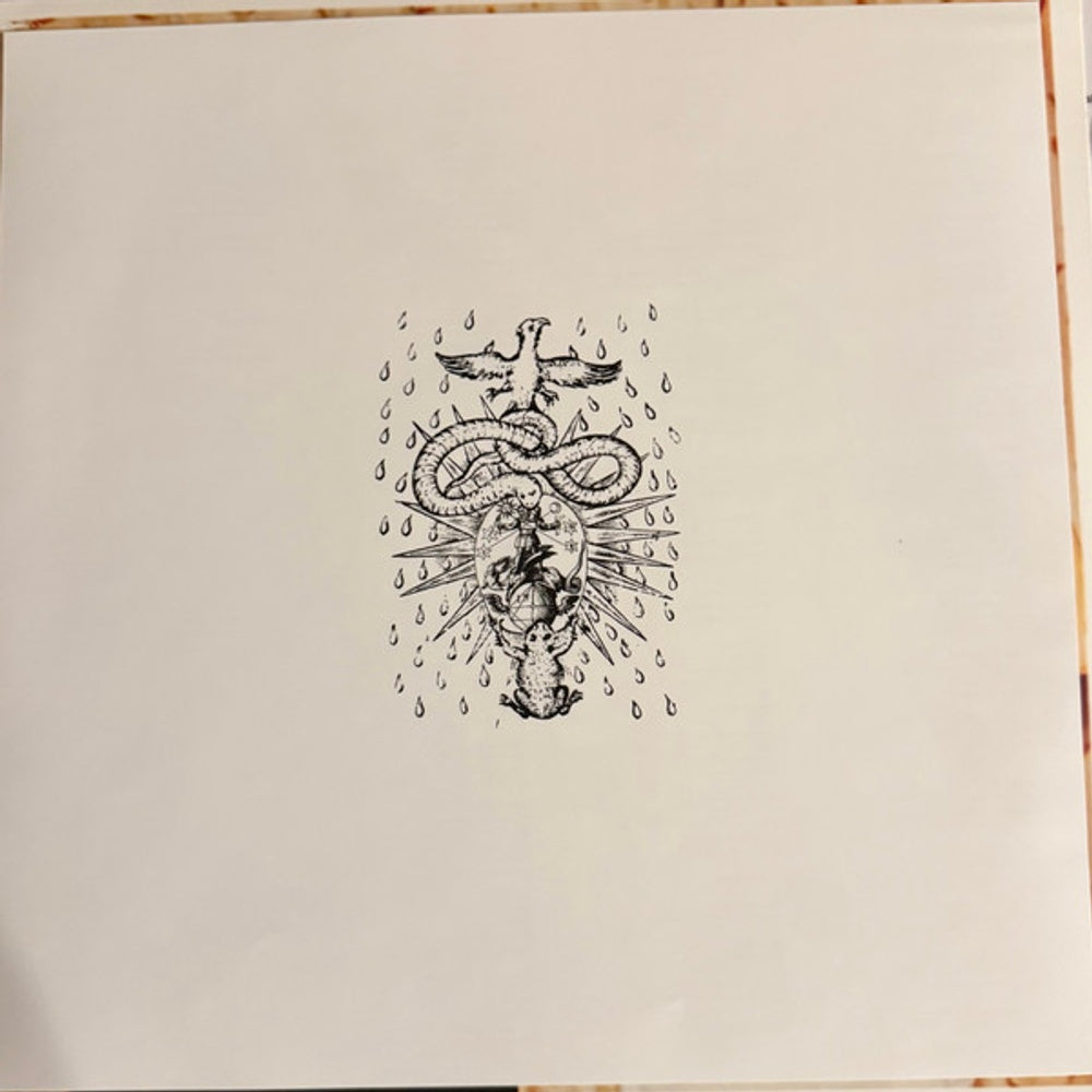 Image 4: Two Gallants – The Bloom and The Blight Vinyl LP | Relix