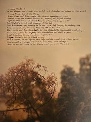 Image 4: Watchhouse – Blindfaller Vinyl LP | Relix