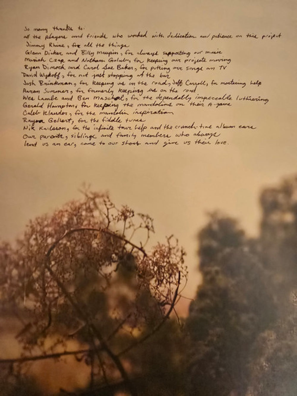 Image 4: Watchhouse – Blindfaller Vinyl LP | Relix