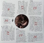 Image 5: Arcade Fire – The Suburbs Vinyl LP | Relix