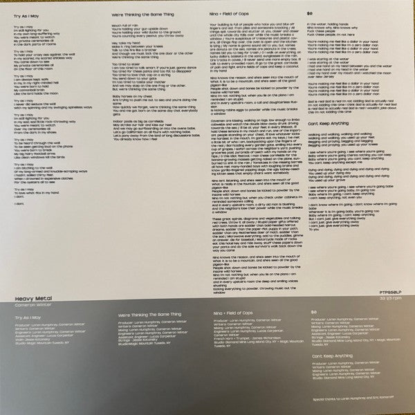 Image 5: Cameron Winter – Heavy Metal (Colored, Slv LP Vinyl) Vinyl LP | Relix