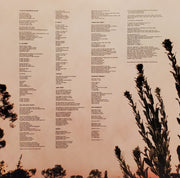 Image 5: Chicano Batman – Cycles Of Existential Rhyme (Limited Edition Marbled Magma LP Vinyl) Vinyl LP | Relix