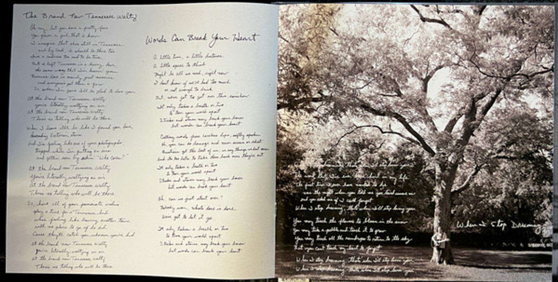 Image 5: Don Henley – Cass Country Vinyl LP | Relix