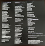 Image 5: Joe Grushecky  & Houserockers – Cant Outrun A Memory Vinyl LP | Relix