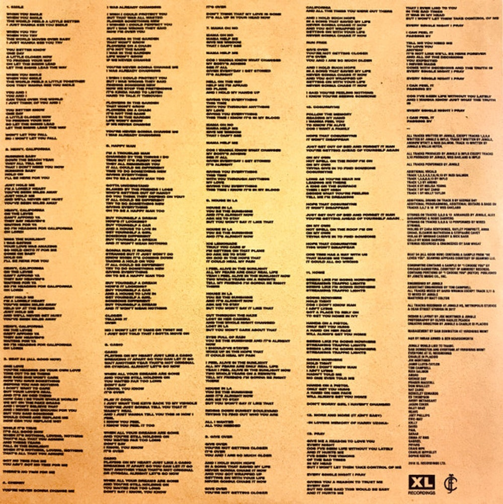 Image 5: Jungle – For Ever Vinyl LP | Relix
