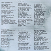 Image 5: Kurt Vile – Wakin On A Pretty Daze (Clear, Gate, Ylw LP Vinyl) Vinyl LP | Relix