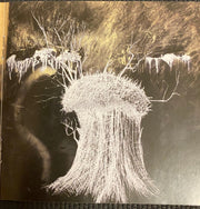 Image 5: Radiohead – Amnesiac CD | Relix