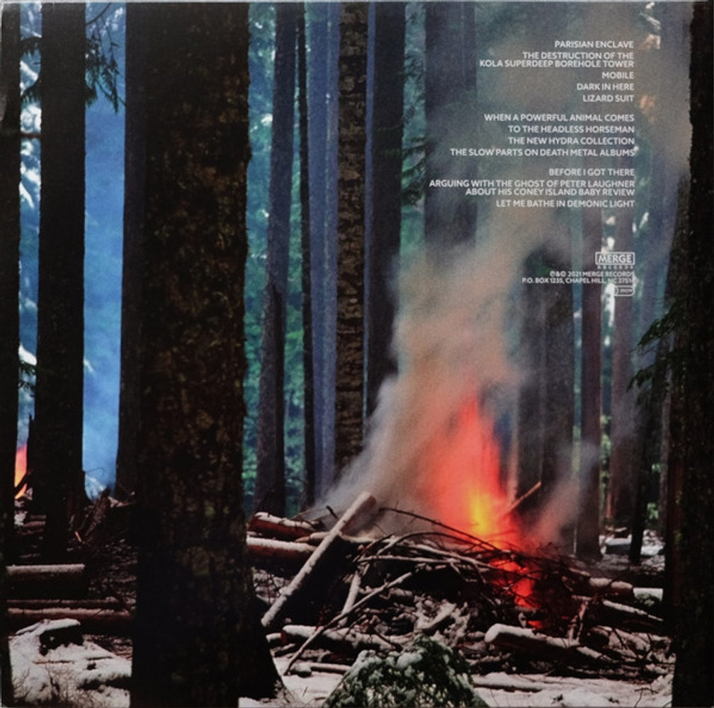 Image 5: The Mountain Goats – Dark In Here Vinyl LP | Relix
