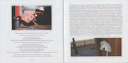 Image 6: Cyndi Lauper – Detour CD | Relix