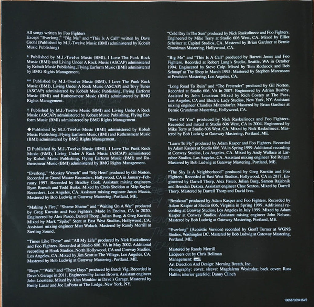 Image 6: Foo Fighters – The Essential Foo Fighters (2-LP Vinyl) Vinyl LP | Relix