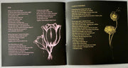 Image 6: Julien Baker – Turn Out The Lights CD | Relix