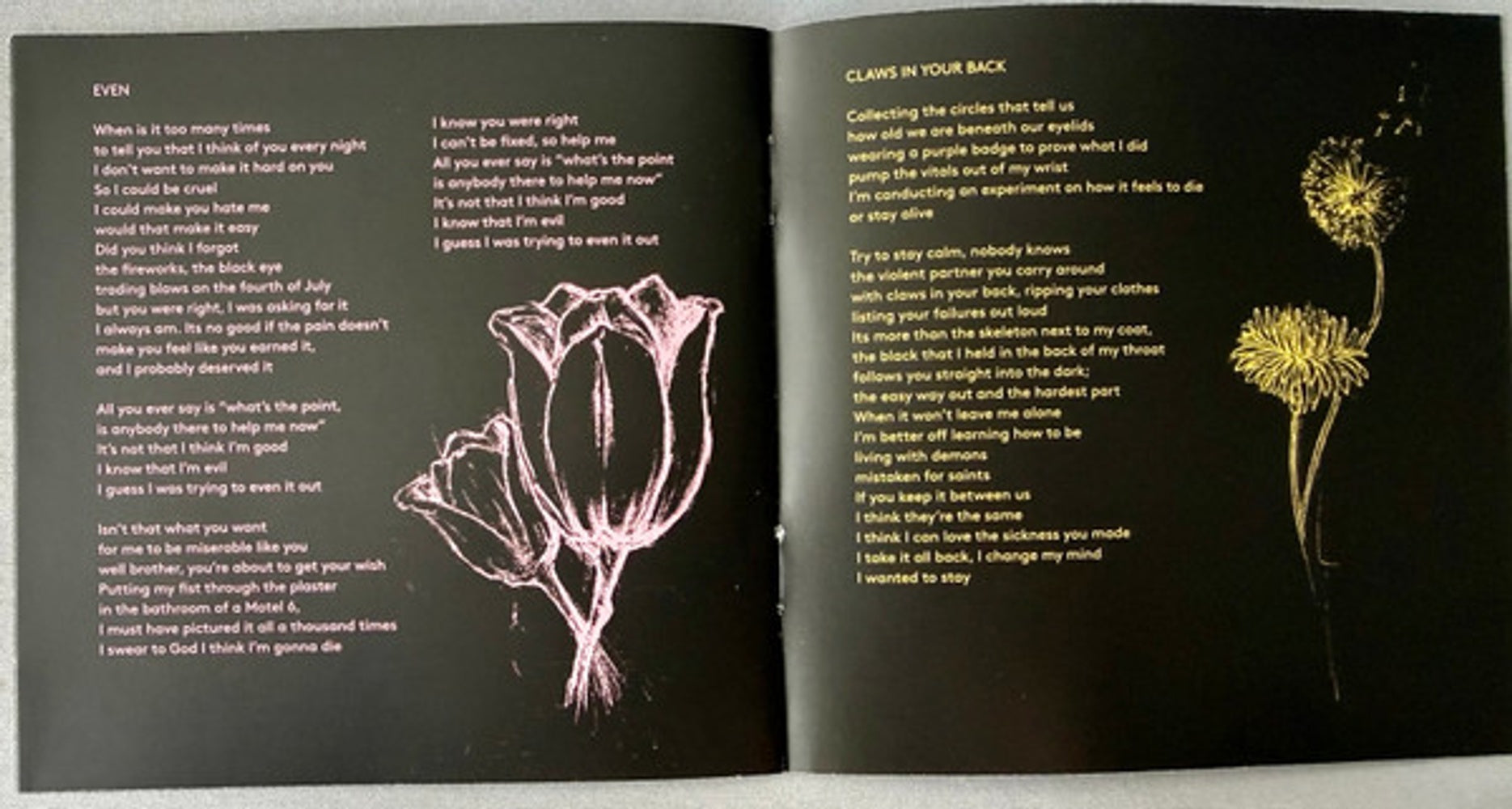 Image 6: Julien Baker – Turn Out The Lights CD | Relix