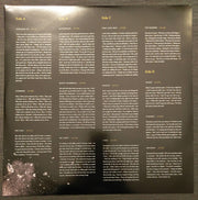 Image 6: Kings Of Leon – Because Of The Times (Reissue, Remastered, 180 Gram LP Vinyl) Vinyl LP | Relix