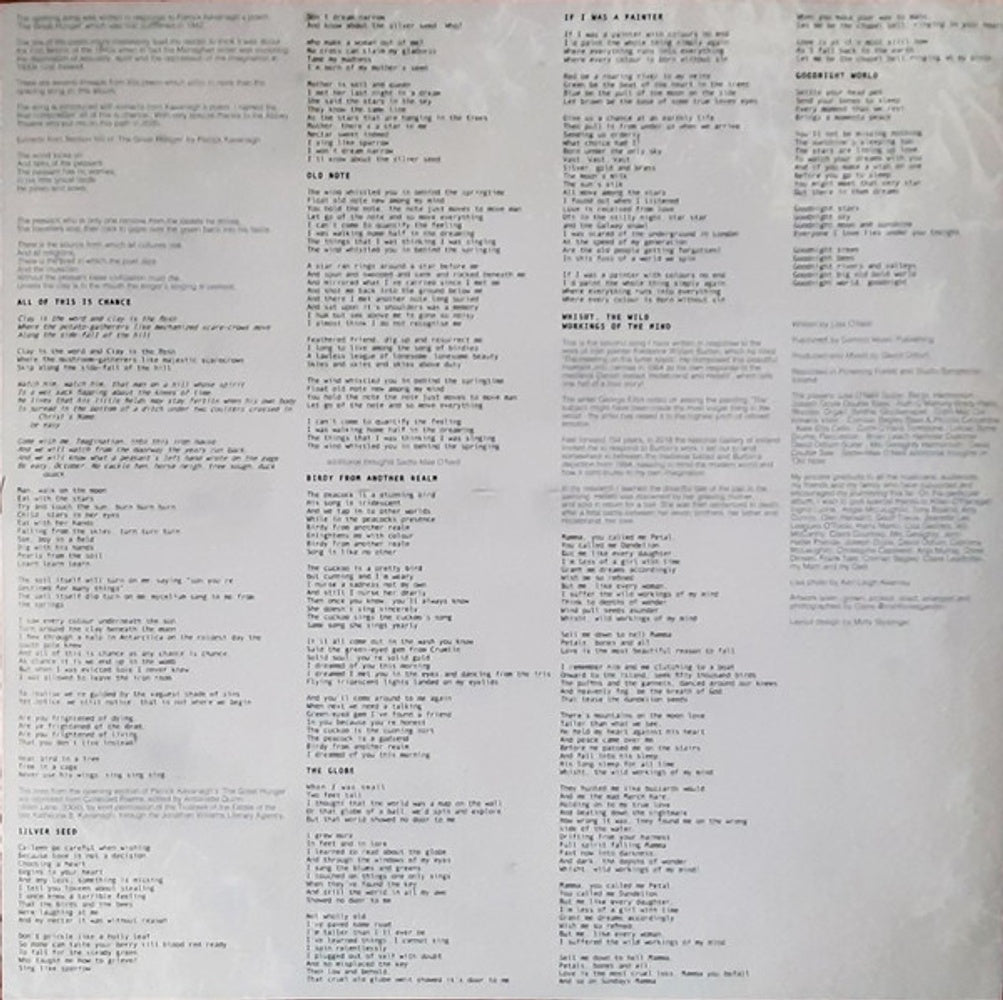 Image 6: Lisa O'Neill – All Of This Is Chance Vinyl LP | Relix