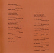 Image 6: Parquet Courts – Human Performance CD | Relix
