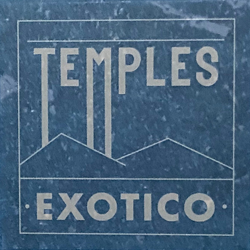 Image 6: Temples – Exotico Vinyl LP | Relix