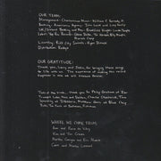 Image 6: The Stray Birds – Magic Fire CD | Relix