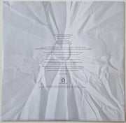 Image 6: Wilco – A Ghost Is Born (Deluxe Edition) - Vinyl LP | Relix