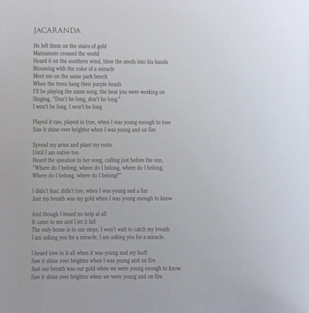 Image 7: Blind Pilot – In The Shadow Of The Holy Mountain CD | Relix