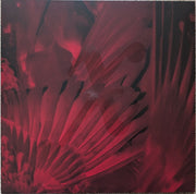 Image 7: Xmal Deutschland – Gift The 4ad Years (3LP Deluxe Edition Clear Red) Vinyl LP | Relix