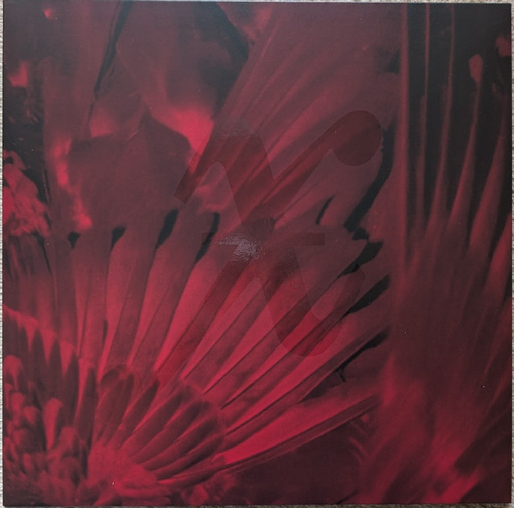 Image 7: Xmal Deutschland – Gift The 4ad Years (3LP Deluxe Edition Clear Red) Vinyl LP | Relix