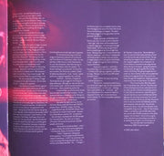 Image 8: David Bowie – Glastonbury 2000 (6-LP Vinyl) Vinyl LP | Relix