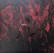 Image 8: Xmal Deutschland – Gift The 4ad Years (3LP Deluxe Edition Clear Red) Vinyl LP | Relix