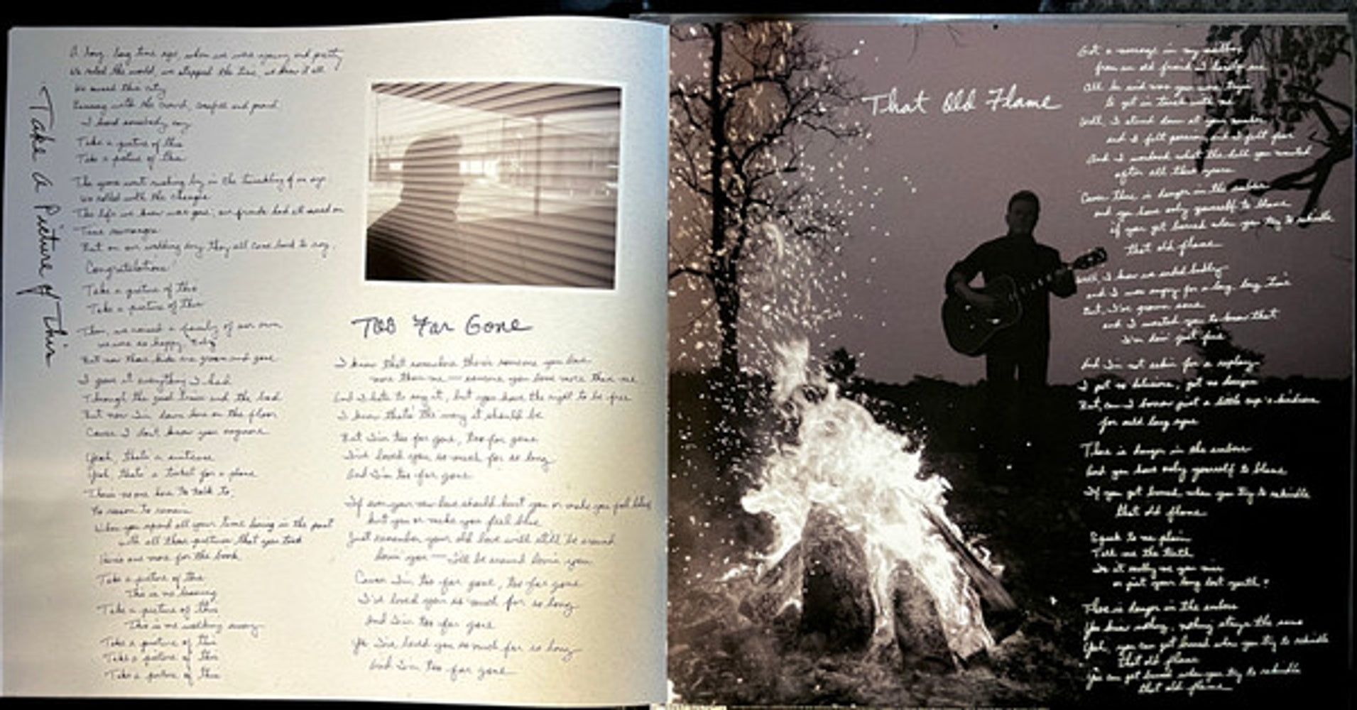 Image 9: Don Henley – Cass Country Vinyl LP | Relix