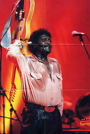 Image: Albert Collins – Deluxe Edition CD | Relix