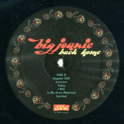 Image: Big Joanie – Back Home Vinyl LP | Relix