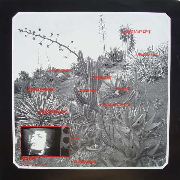 Image: Cat Power – Moon Pix Vinyl LP | Relix