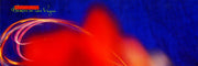 Image: Cocteau Twins – Heaven or Las Vegas CD | Relix