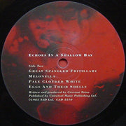 Image: Cocteau Twins – Tiny Dynamine / Echoes In A Shallow Bay (2-LP Vinyl) Vinyl LP | Relix