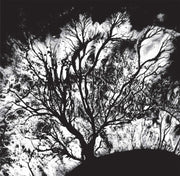 Image: Dead Can Dance – The Serpent's Egg Vinyl LP | Relix