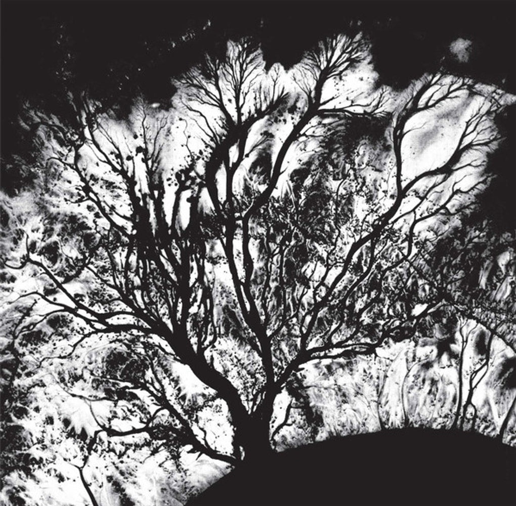 Image: Dead Can Dance – The Serpent's Egg Vinyl LP | Relix