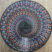Image: Disclosure – Caracal - 10th Anniversary Edition (Zoetrope LP Vinyl) Vinyl LP | Relix