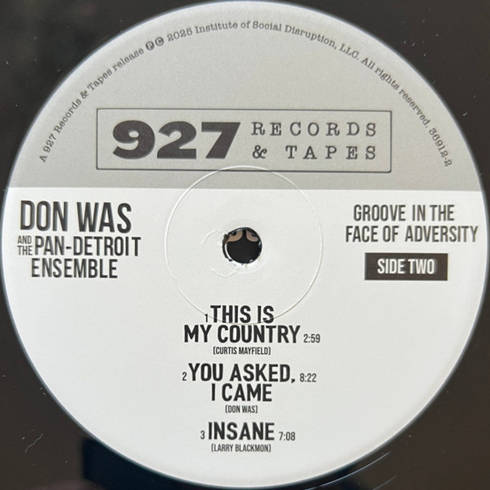 Image: Don Was – Groove In The Face Of Adversity Vinyl LP | Relix