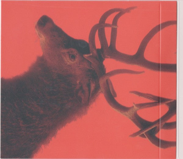 Image: Fontaines D.C. – Skinty Fia (CD) CD | Relix