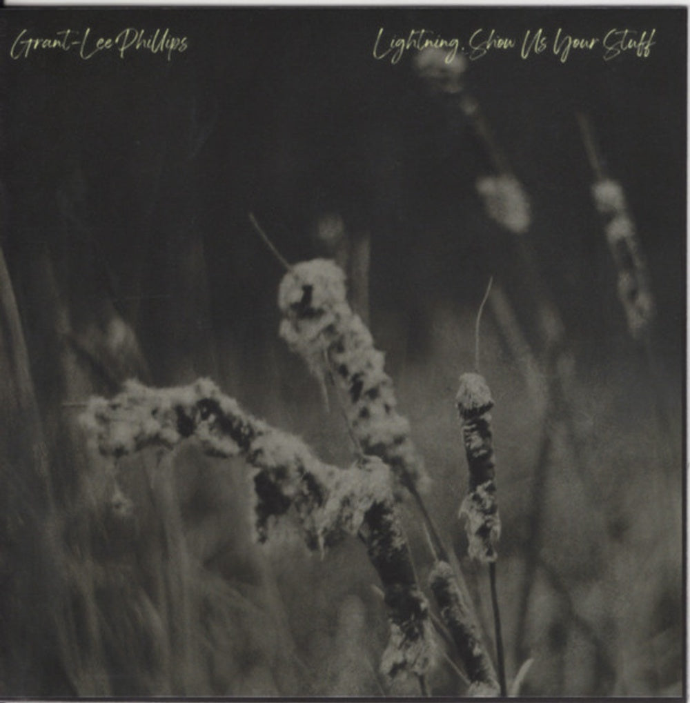 Image: Grant-Lee Phillips – Lightning Show Us Your Stuff CD | Relix