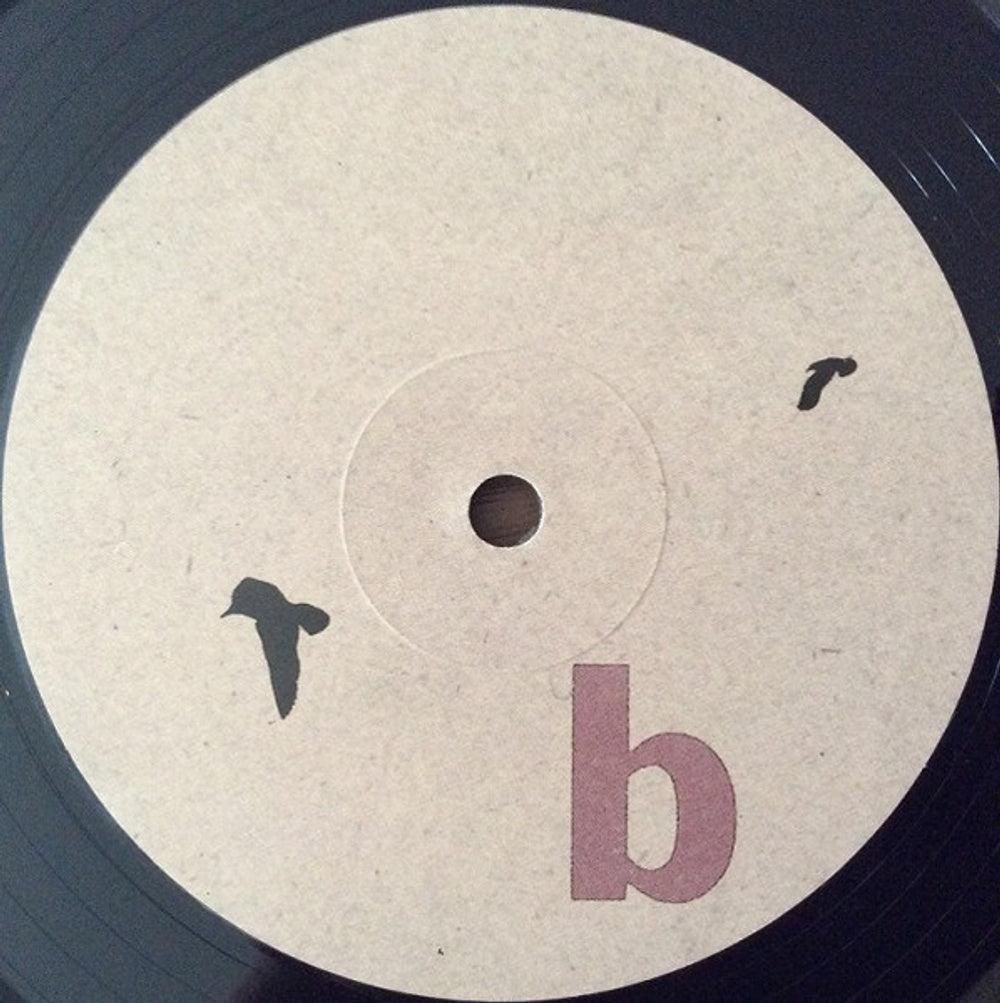Image: Hop Along – Painted Shut Vinyl LP | Relix