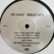 Image: Jim James – Tribute To 2 Vinyl LP | Relix