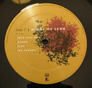 Image: Kings Of Leon – Because Of The Times (Reissue, Remastered, 180 Gram LP Vinyl) Vinyl LP | Relix