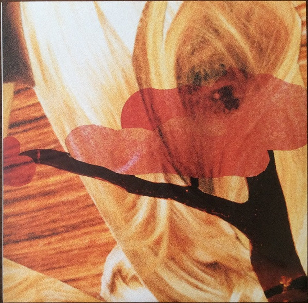 Image: National – Cherry Tree (2021 Remaster LP Vinyl) Vinyl LP | Relix