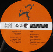 Image: Parquet Courts – Wide Awake! Vinyl LP | Relix